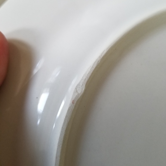 Target | (2) Goodwin Gardens Dinner Plates - Picture 6 of 6